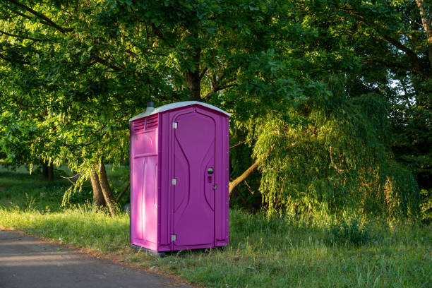 Trusted Santo Domingo Pueblo, NM porta potty rental Experts